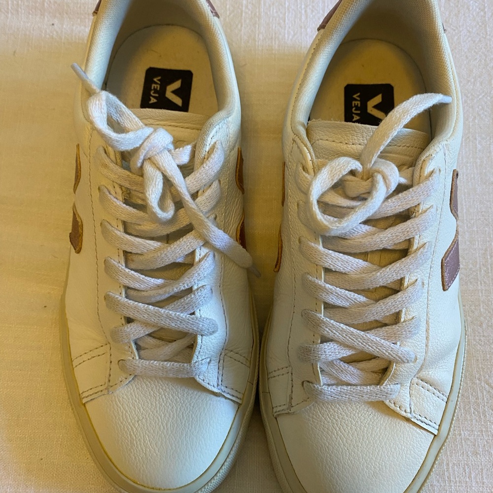 Veja Women's Sneakers in White and Brown